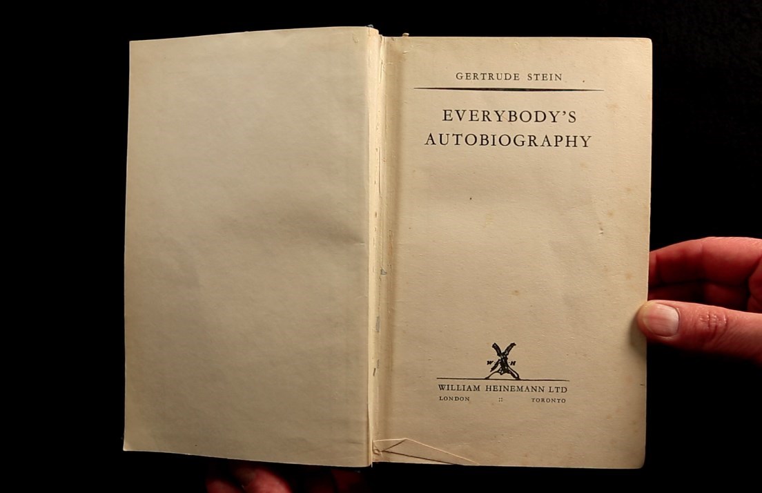 Everybody's Autobiography, 2' 25'', video, sound, 2015