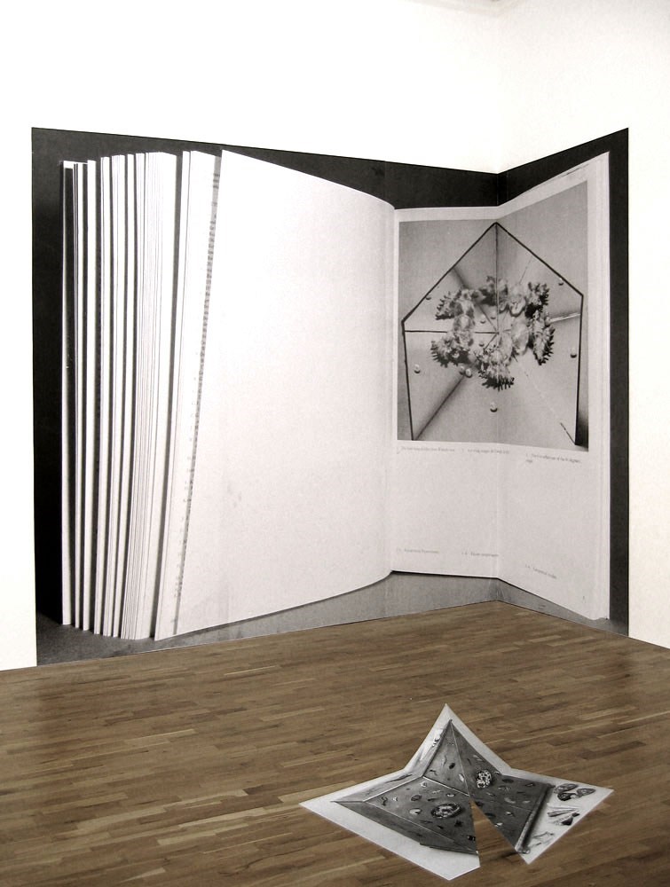 Katoptrische Experimente; Muschelkästchen, 60cm x 65cm, silkscreen on aluminium, 2012
